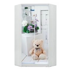 Шкаф-купе ХИТ-У-23-4-77 в Троицке - troick.mebel24.online | фото
