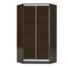 Шкаф-купе ХИТ-У-L-23-64-11 в Троицке - troick.mebel24.online | фото 1