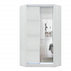 Шкаф-купе ХИТ-У-L-24-64-15 в Троицке - troick.mebel24.online | фото