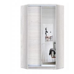 Шкаф-купе ХИТ-У-L-24-64-15 в Троицке - troick.mebel24.online | фото 6
