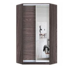 Шкаф-купе ХИТ-У-L-24-64-15 в Троицке - troick.mebel24.online | фото 11
