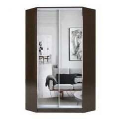 Шкаф-купе ХИТ-У-R-23-64-55 в Троицке - troick.mebel24.online | фото 1
