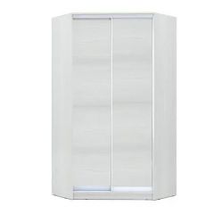 Шкаф-купе ХИТ-У-R-24-64-11 в Троицке - troick.mebel24.online | фото
