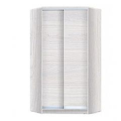 Шкаф-купе ХИТ-У-R-24-64-11 в Троицке - troick.mebel24.online | фото 5