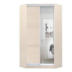 Шкаф-купе ХИТ-У-R-24-64-15 в Троицке - troick.mebel24.online | фото 7