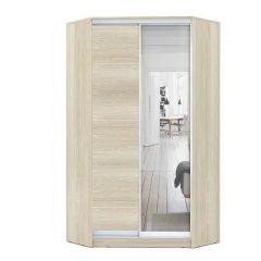 Шкаф-купе ХИТ-У-R-24-64-15 в Троицке - troick.mebel24.online | фото 8