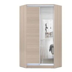 Шкаф-купе ХИТ-У-R-24-64-15 в Троицке - troick.mebel24.online | фото 9