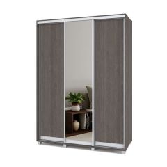 РОЛАНД Шкаф-купе с зеркалом Анкор темный (600*1700) Р672 в Троицке - troick.mebel24.online | фото