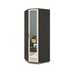 ЕВА Шкаф угловой Е58 в Троицке - troick.mebel24.online | фото 3