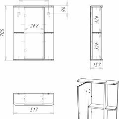 Шкаф-зеркало Норма 2-50 левый АЙСБЕРГ (DA1607HZ) в Троицке - troick.mebel24.online | фото 10