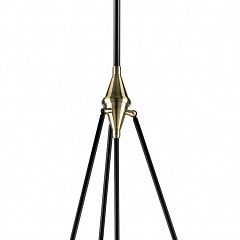 Светильник на штанге Lightstar Modena 816047 в Троицке - troick.mebel24.online | фото