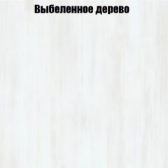 Вешалка V3 в Троицке - troick.mebel24.online | фото 4