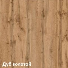 Вуди Шкаф для одежды 13.138 в Троицке - troick.mebel24.online | фото 4