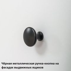 Вуди Тумба прикроватная 13.287 в Троицке - troick.mebel24.online | фото 4