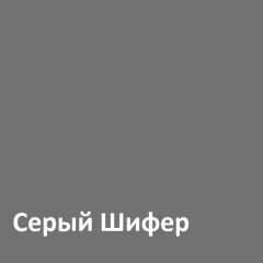 Юнона Шкаф торцевой 13.221 в Троицке - troick.mebel24.online | фото 2