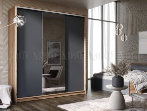 АЛЬЯНС Шкаф-купе 1,5 в Троицке - troick.mebel24.online | фото