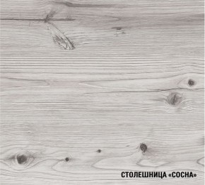 АСАЯ Кухонный гарнитур Макси 2 (1800 мм) ПМ в Троицке - troick.mebel24.online | фото 8
