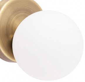Бра Arte Lamp Bolla-piccolo A3989AP-1AB в Троицке - troick.mebel24.online | фото