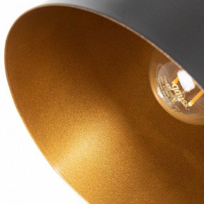 Бра Arte Lamp Thomas A7032AP-1BK в Троицке - troick.mebel24.online | фото 10
