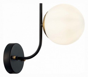 Бра EVOLUCE Ciane SLE1098-401-01 в Троицке - troick.mebel24.online | фото 3