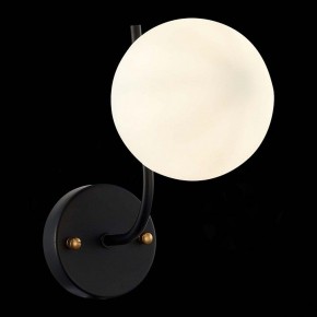 Бра EVOLUCE Ciane SLE1098-401-01 в Троицке - troick.mebel24.online | фото 4