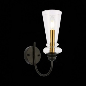 Бра EVOLUCE Rammo SLE112401-01 в Троицке - troick.mebel24.online | фото 8
