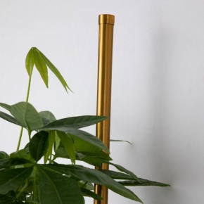 Бра Favourite Greenery 4050-2W в Троицке - troick.mebel24.online | фото 8