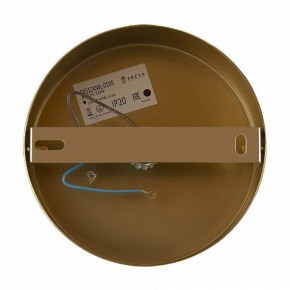 Бра Freya Zelda FR5124WL-01BS в Троицке - troick.mebel24.online | фото 6