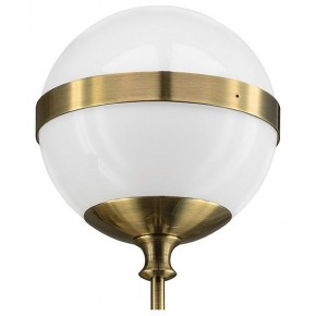 Бра Lightstar Globo 813611 в Троицке - troick.mebel24.online | фото 3