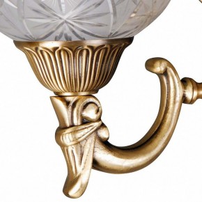 Бра MW-Light Афродита 2 317021902 в Троицке - troick.mebel24.online | фото 5
