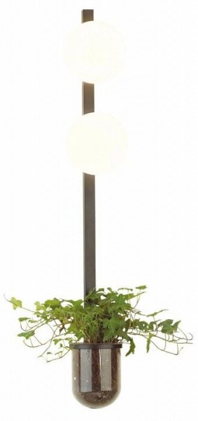 Бра Odeon Light Flower 4681/2WA в Троицке - troick.mebel24.online | фото 3