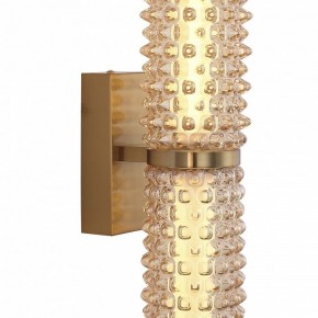 Бра ST-Luce SAGUARO SL6144.301.01 в Троицке - troick.mebel24.online | фото 6