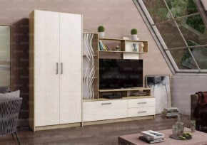 ДАРЬЯ Гостиная (Крафт серый/Крафт белый) в Троицке - troick.mebel24.online | фото