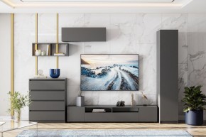 ДЕНВЕР Тумба для ТВА (Графит серый) в Троицке - troick.mebel24.online | фото 4