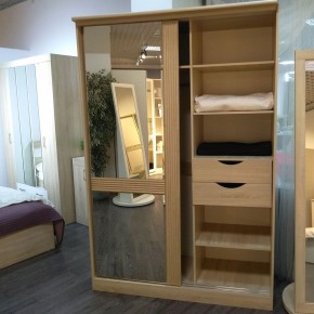 ДИАНА Д13 Шкаф-купе в Троицке - troick.mebel24.online | фото 4
