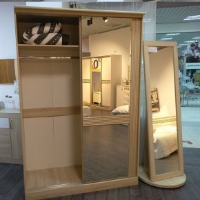 ДИАНА Д13 Шкаф-купе в Троицке - troick.mebel24.online | фото 5