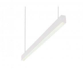 DK9124-WH Линейный светильник 30W 1250mm 4000K, белый в Троицке - troick.mebel24.online | фото 1