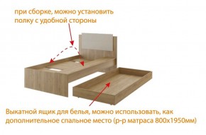 Дуглас подростковая (модульная) в Троицке - troick.mebel24.online | фото 5