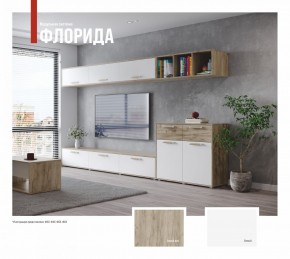 ФЛОРИДА Гостиная (модульная) дуб серый/белый в Троицке - troick.mebel24.online | фото