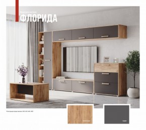 ФЛОРИДА Гостиная (модульная) дуб золотой/графит в Троицке - troick.mebel24.online | фото