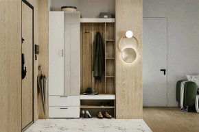 Гарнитур для прихожей Торонто в Троицке - troick.mebel24.online | фото 5