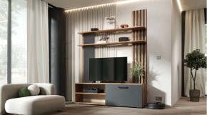 КАРОЛИНА Гостиная (дуб вотан/графит) в Троицке - troick.mebel24.online | фото