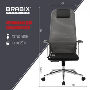 Кресло офисное BRABIX PREMIUM "Ultimate EX-801" хром, плотная двойная сетка Х2, черное/серое, 532918 в Троицке - troick.mebel24.online | фото 5