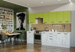 Кухонный гарнитур Гарда 3000 (Стол. 26мм) в Троицке - troick.mebel24.online | фото