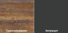 Кухонный гарнитур угловой Трансильвания 2600х1600 мм (Стол. 26 мм) в Троицке - troick.mebel24.online | фото 3