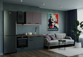 Кухонный гарнитур Виола 1600 (Стол. 38мм) в Троицке - troick.mebel24.online | фото