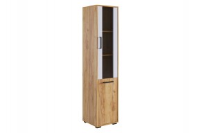 ЛАЙТ 2 Стеллаж (дуб крафт золотой) в Троицке - troick.mebel24.online | фото