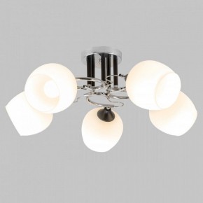Люстра на штанге Imex MD.3618 MD.3618-5-S-CH+BK в Троицке - troick.mebel24.online | фото 2