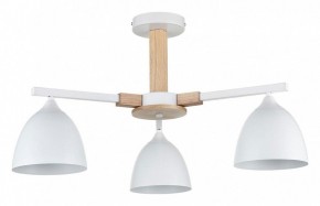Люстра на штанге Lumion Colange 8095/3C в Троицке - troick.mebel24.online | фото