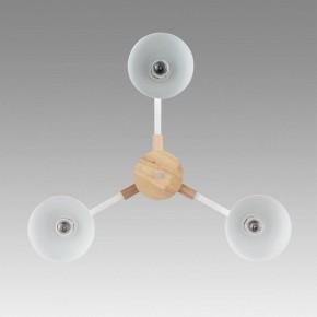 Люстра на штанге Lumion Colange 8095/3C в Троицке - troick.mebel24.online | фото 3